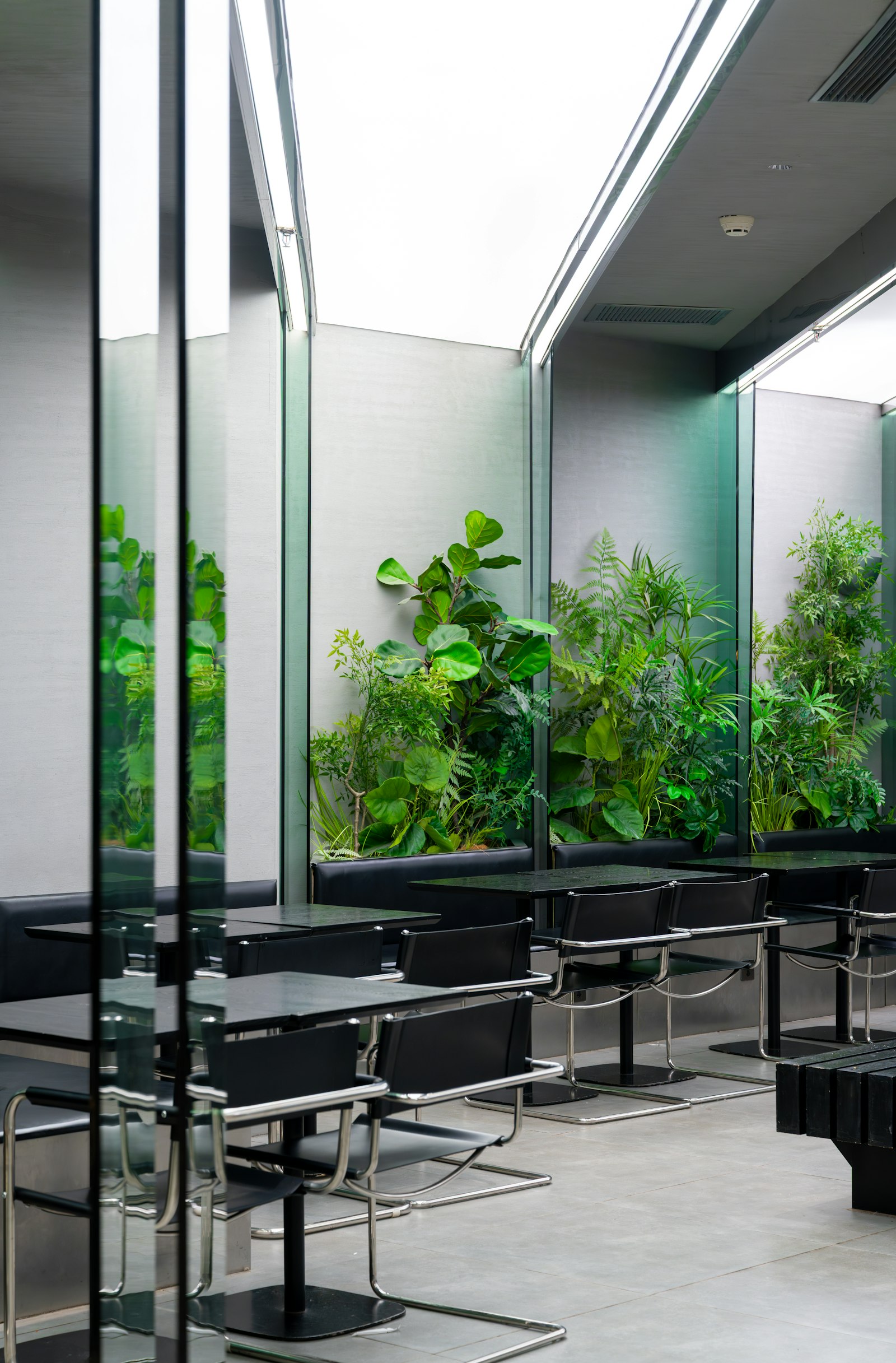 The Green Affair Restaurant Interior